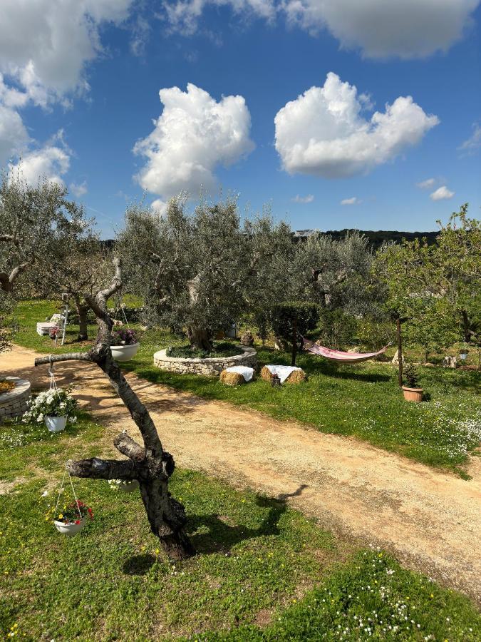 Trulli Barsento Guest House Alberobello Ngoại thất bức ảnh