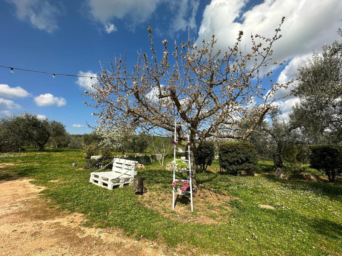Trulli Barsento Guest House Alberobello Ngoại thất bức ảnh