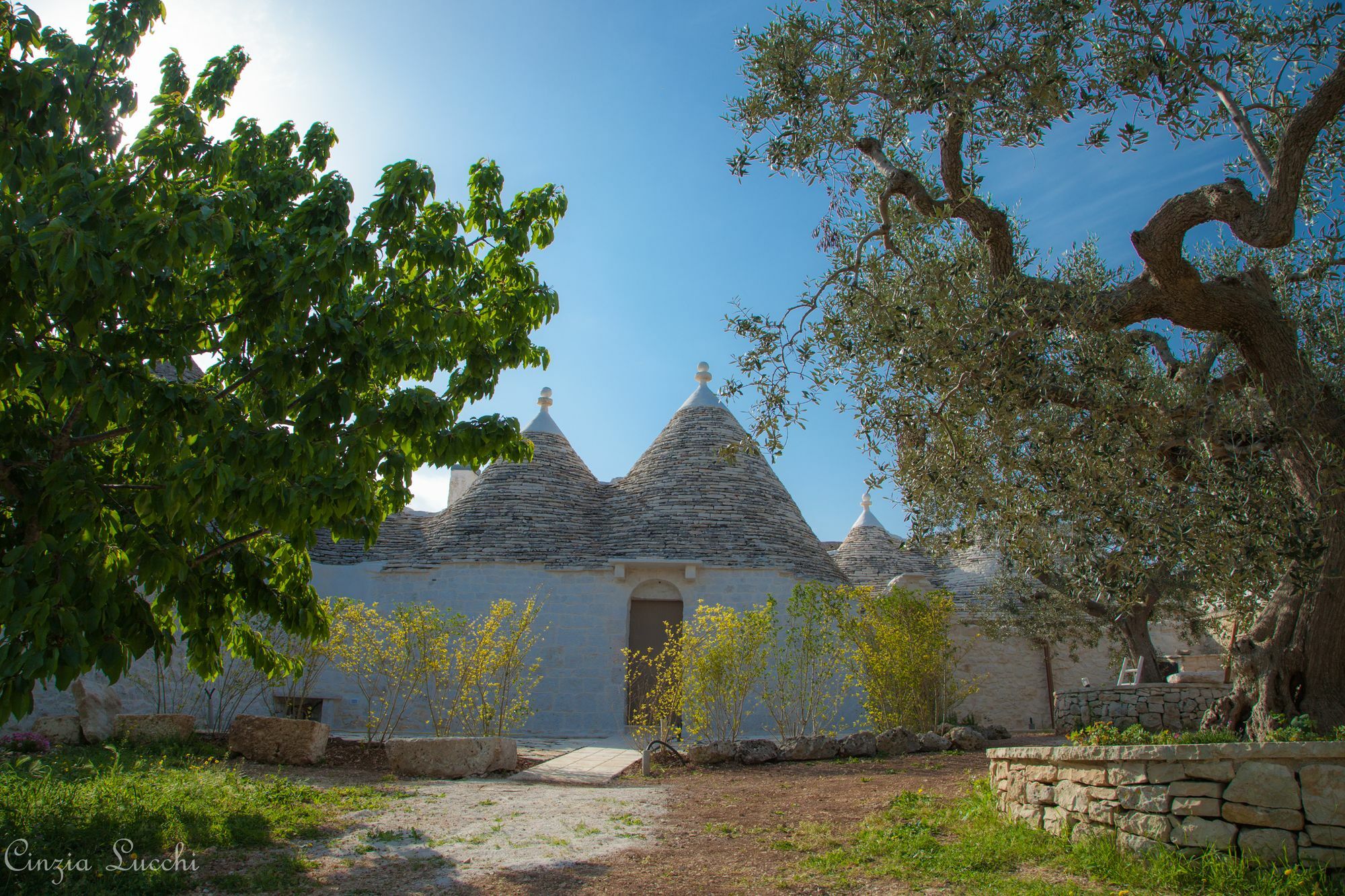 Trulli Barsento Guest House Alberobello Ngoại thất bức ảnh